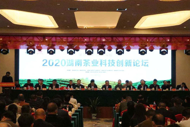 茶訊 | 2020湖南茶業(yè)科技創(chuàng)新論壇隆重召開——蕭力爭(zhēng)當(dāng)選湖南省茶葉學(xué)會(huì)新一屆理事長(zhǎng)